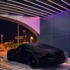 西方乳交在线观看
